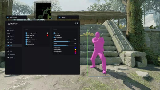 Midnight CS2 Game | Midnight CS2 | Insano's